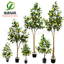 ���ι��S����Gֲ�辰�҃ș��ʼ٘䱱�Wins�͏d����������Ԕ[��