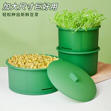 育苗盘家用豆芽发芽盆加大款水培黄豆绿豆无污染食品级蔬菜种植盘