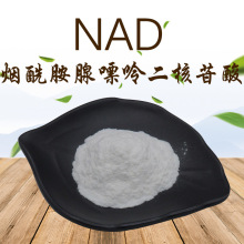 NAD  烟酰胺腺嘌呤二核苷酸 53-84-9 烟酰胺腺嘌呤 现货