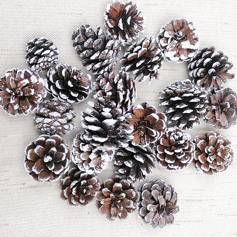 圣诞节装饰品4CM5CM沾白松果无胶无挂绳白色节日装饰圣诞树配件