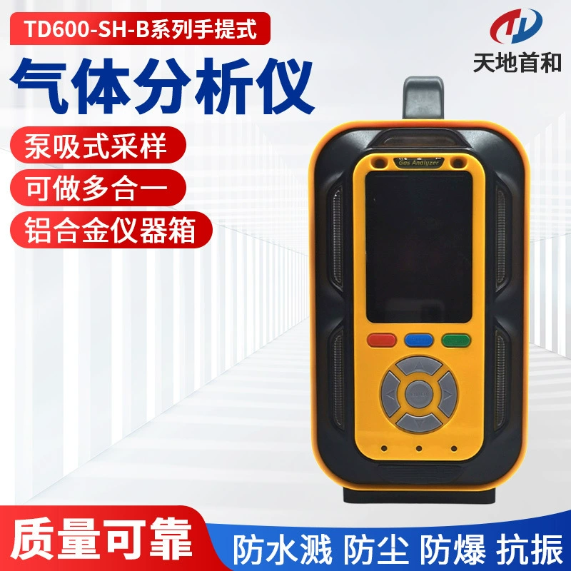 Портативный анализатор озона TD600-SH-B-O3, детектор концентрации газа, отбор проб всасывания насоса