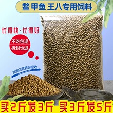 甲鱼饲料鳖饲料中华鳖水鱼团小甲鱼饲料王八珍珠鳖乌龟粮