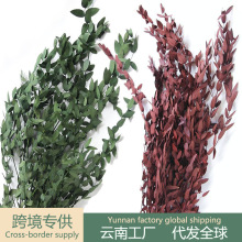 �������~�ȼ����~�滨�ɻ�����~�~�X���������l���~�����~�廨