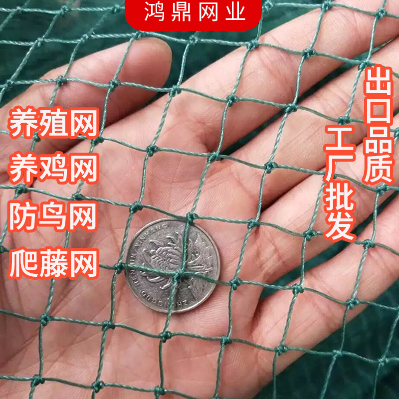 养殖网防鸟网渔网养鸡网家禽养殖网爬藤网菜园围网果园网护栏天网