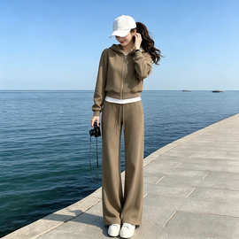 2026网红宽松显瘦洋气短裤两件套潮流运动套装女秋装新款3704