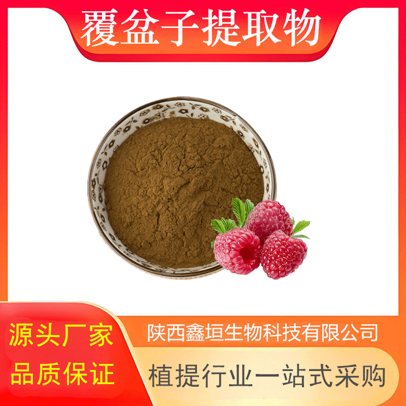 覆盆子提取物 10:1 水溶性 另有覆盆子浸膏 现货 厂家