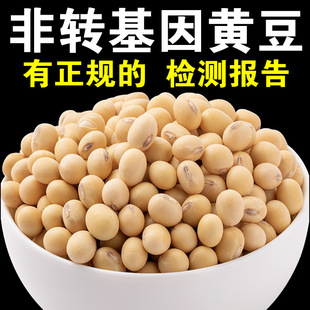 ���D�����S���¼Z�ٰl��Ʒ�N�S���򶹝{���⌣�ñ���