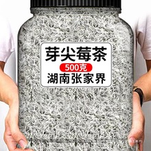 龙须莓茶张家界野生正品 湖南湘西土特产 张家界莓茶嫩芽藤茶霉茶