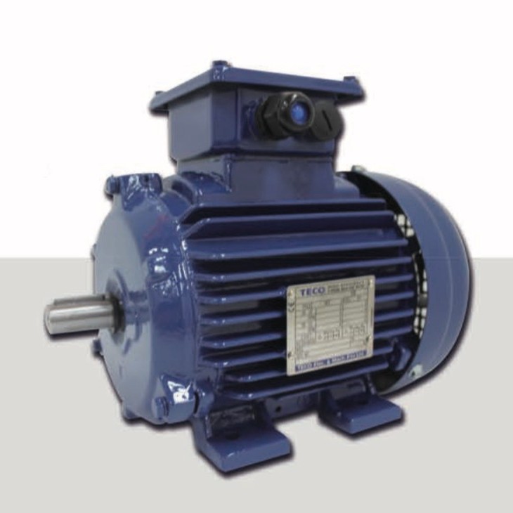 TECO东元防爆电动机|东元电动机|TECO东元电动机马达台湾品牌