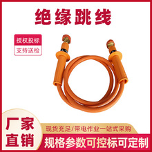 绝缘跳线2275带电作业引流线3米临时跳线组双接头引流管