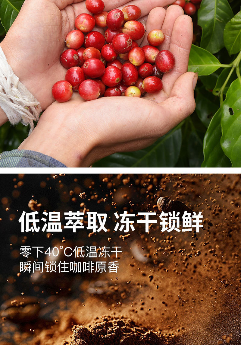 Freeze Dried Instant Coffee Powder 100g Jar Sugar Free Americano Black Coffee Medium Dark Roast Arabica key features