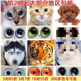 动物眼睛手动玩偶眼睛配件玻璃防水龙眼珠手工猫狗羊毛毡