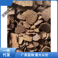 ����ѷ۲������Ƭ�K�����ĭϴ�^�坍�o�l�B�lϴ���ݷ۱��g