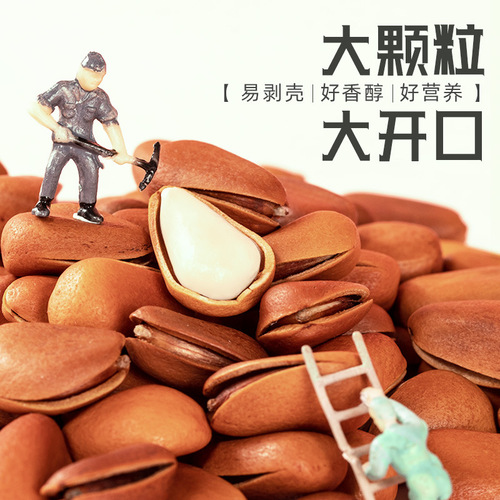 New arrival Northeastern pine nuts extra large wholesale nut snacks manufacturer specialty wild open hand peeled pine nuts dried fruits