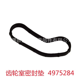 Dongfeng Cummins ISZ mühərriki üçün dişli kamerası möhürü 4975284