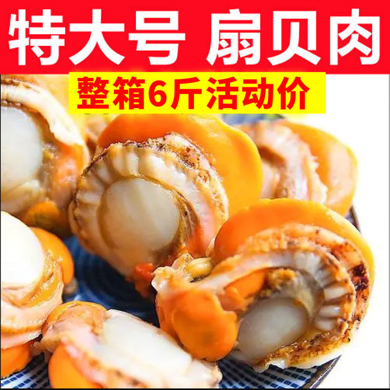 特大号扇贝肉带黄现剥新鲜扇贝海鲜海捕冷冻贝肉水产批发1斤6斤