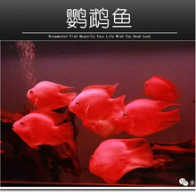 Ѫ�t�W�^�~���w�lؔ�~�tԪ���~�Ꭷ�^�p�~�Lˮ�~�y���~