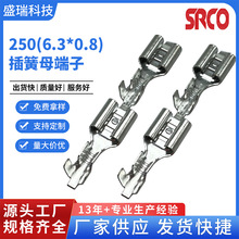 250压接端子6.3X0.8插簧母端子镀锡镀镍电源电工电器PCB端子加工