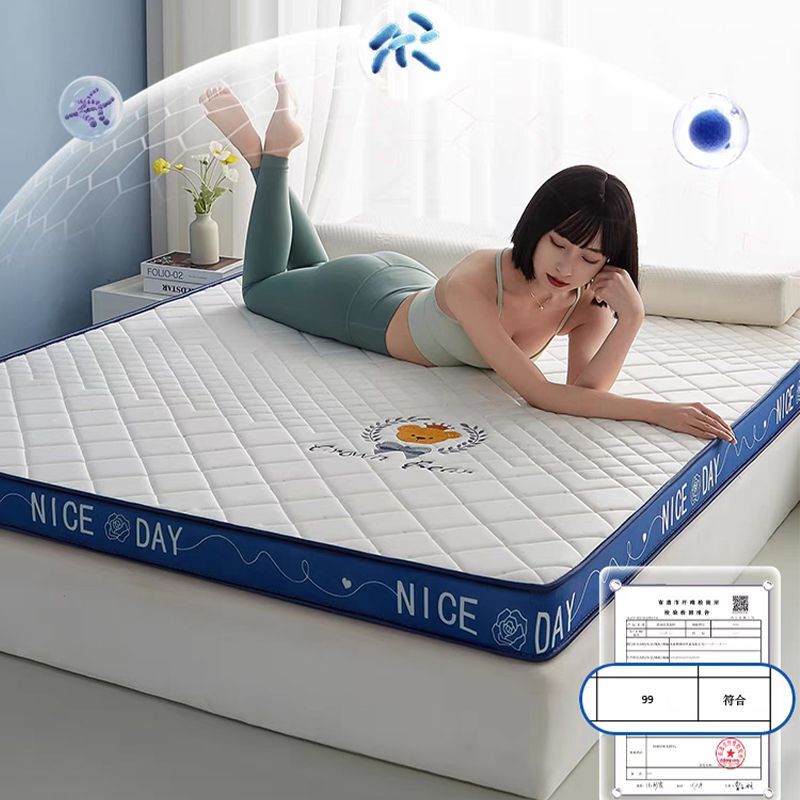 Latex Memory Sponge Tatami Mattress Children's Student Dormitory Upper and Lower Bushes Single Household Double Spine Mattress