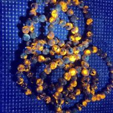 ��Ȼ����ʯ��8-18�ִ����|�¿�r���^�p���`ʯ��ʯ����ʯֱ����؛