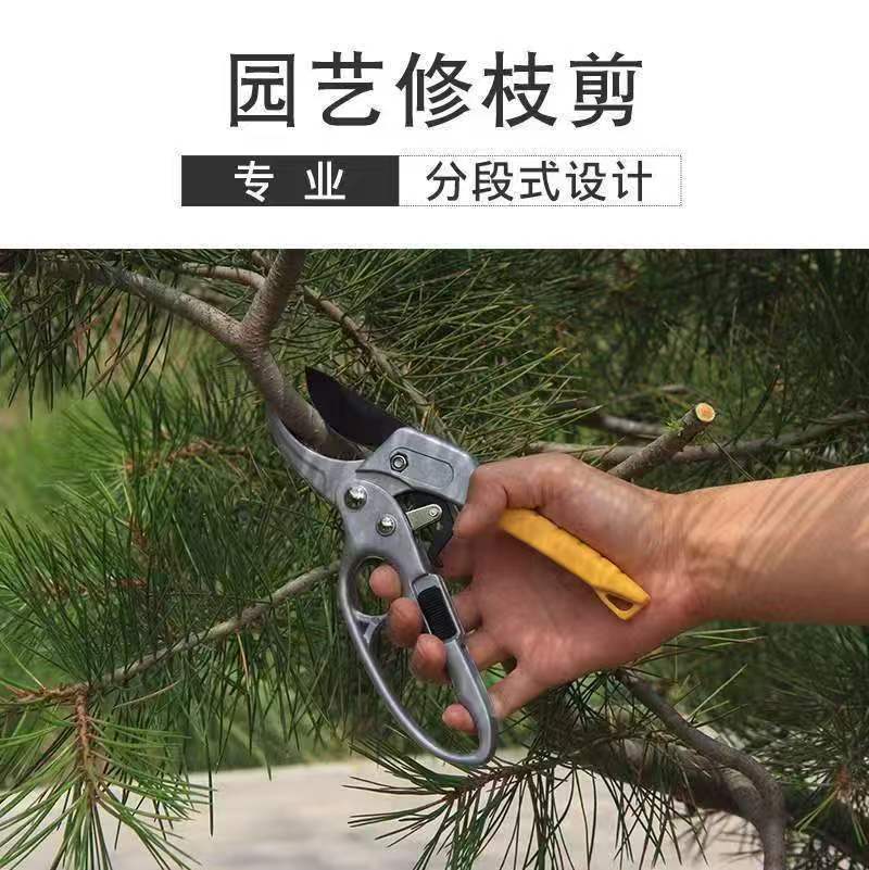 微信图片_20250302160400