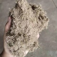 �����o�¾G����ľ�w�S ľ�|�w�S ���{�w�S��·���ԇ����G���w�S