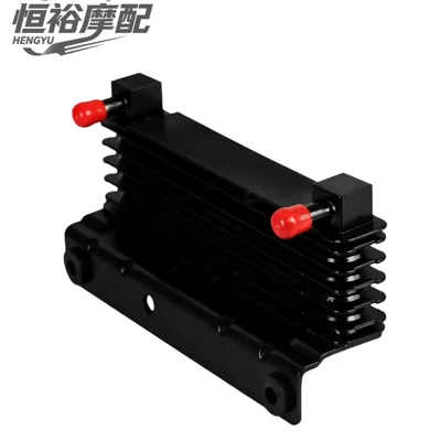 Applicable to Harley Touring Road King Road Glide cooling water tank assembly radiator 09-23 (Water tank) - suitable-for-2009-2016-models-high-quality-water-tank