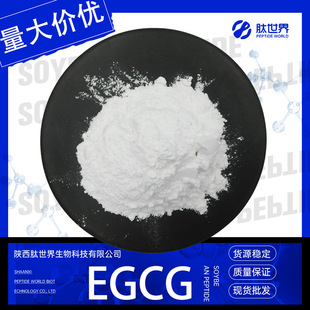 98%EGCG �G����ȡ���]ʳ�Ӄ����؛]ʳ�������F؛����ă�EGCG