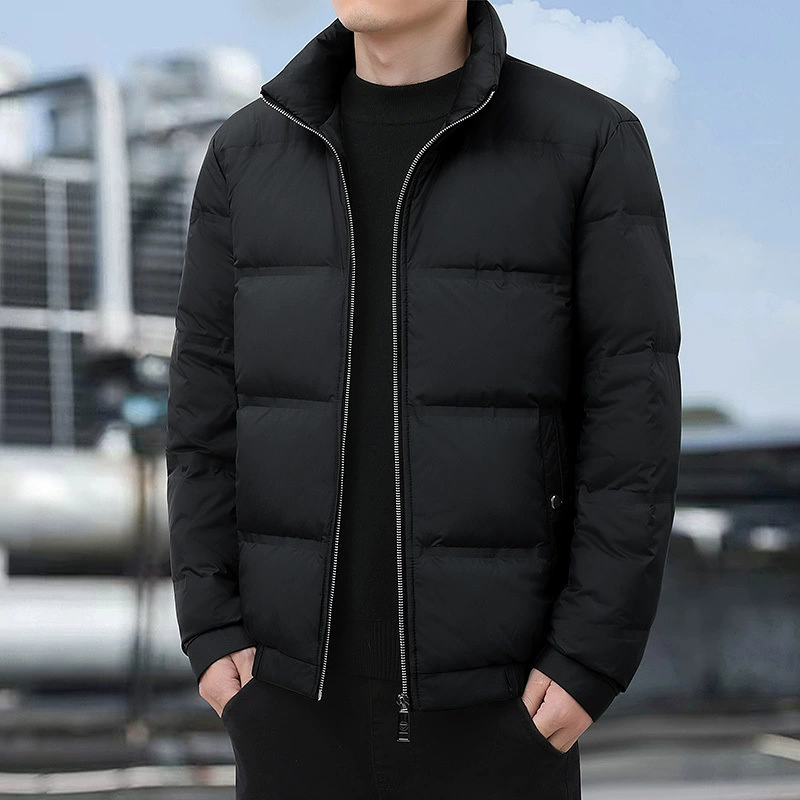 Men's short keep warm down jacket for leisure, 2024 years