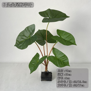 �����֧���^ ��Gɫ��β�����~78cm�߾��^��ˇ���͏d���þGֲ