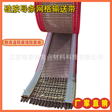 热销供应热收缩机微波烘干机输送带耐酸碱特氟龙网格带