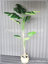 ����Ҭ�Ә� ��Ҭ�� �����҃����̈��b� ���� �����~ ������