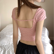 СeuI黨TŮ2024ļٴ¶̿