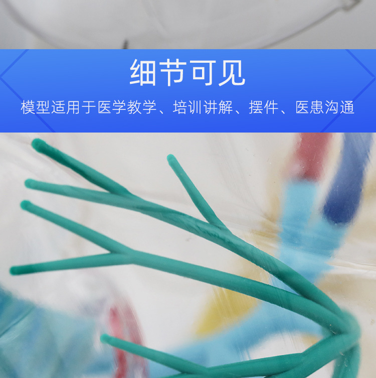 O1CN01iQLTZw2Kk6XrwOOh4_!!3578