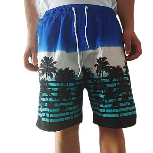 Men's Printed Five-Pocket Shorts Surf Pants Beach Shorts Hot Selling