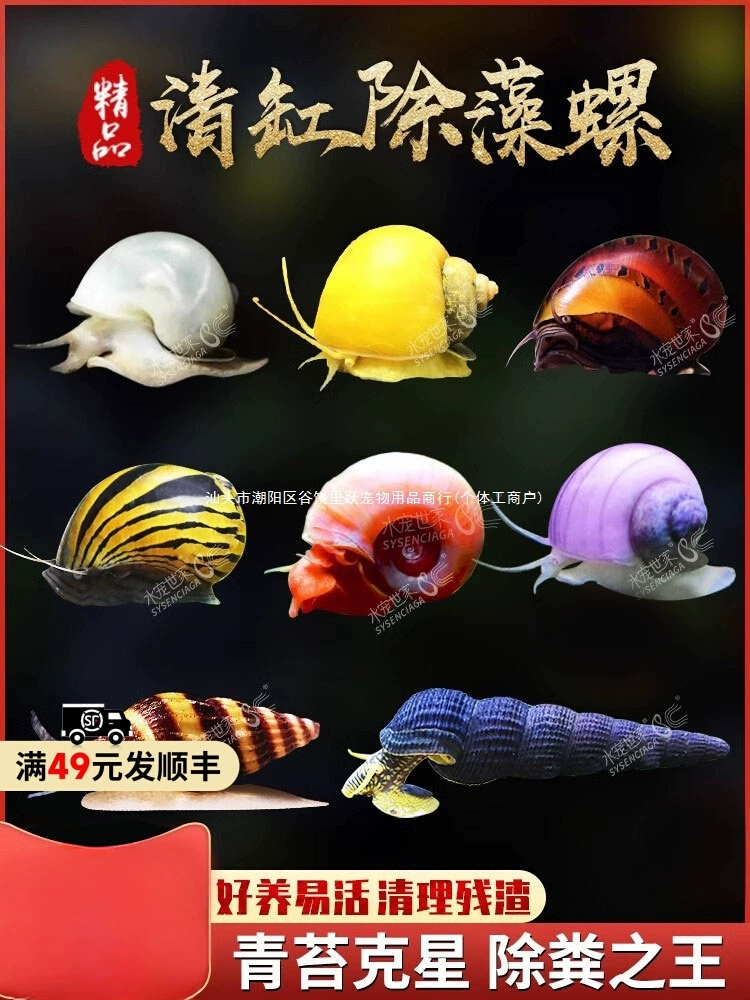 Декоративный улиточный убийца мха, убийца водорослей, черная алмазная улитка, яблочная улитка, пресноводная зебра, абалон, луковая улитка, инструмент для улитки, домашнее животное.