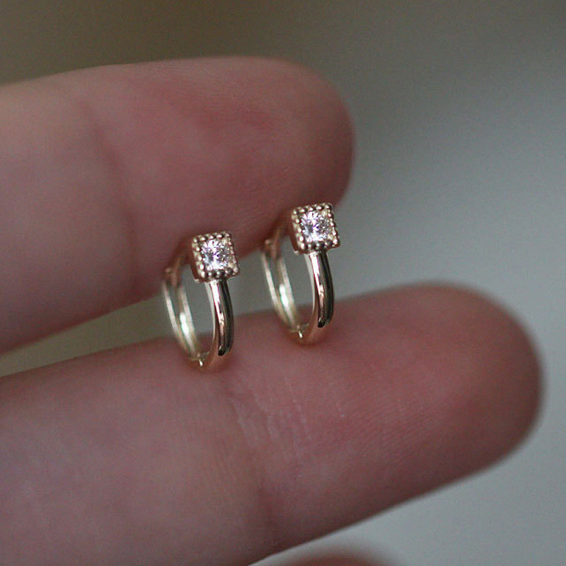 Fashionable elegant earrings