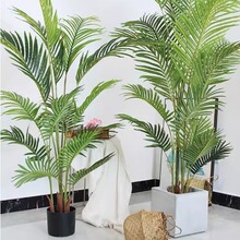 ɢβGֲWinsLֲپGֲ҃b٘