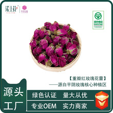 诺上花源头厂家平阴传统玫瑰花茶低温烘干玫瑰花蕾产地