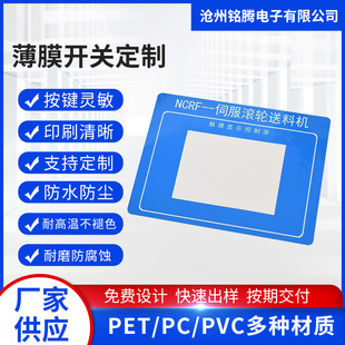 Manufacturer Processes Pvc Panel Film Switch Buttons, Face Mask Labels, Pet Panel Film Switches
