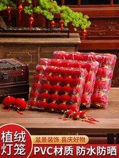 2026�����^���tֲ�qС���\���Ժ�Ә��ϒ���Y��c�����b������