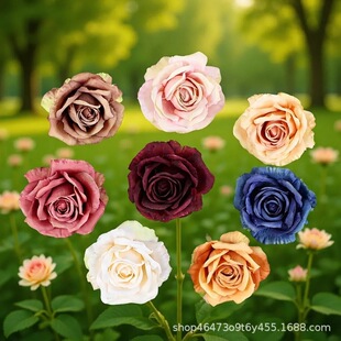 �¿�ܽ�ػ�flower�ٻ���c�Ҿ��bzӰ���߻��仨�^���l
