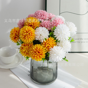 6�^��Ն���������^ƹ�Ҿ� ��c��Y����̨���ÔzӰ���ߏS�����l
