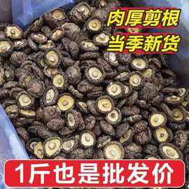 香菇干货古田农家肉厚无根干香菇新货蘑菇虫草产地直发散装批发