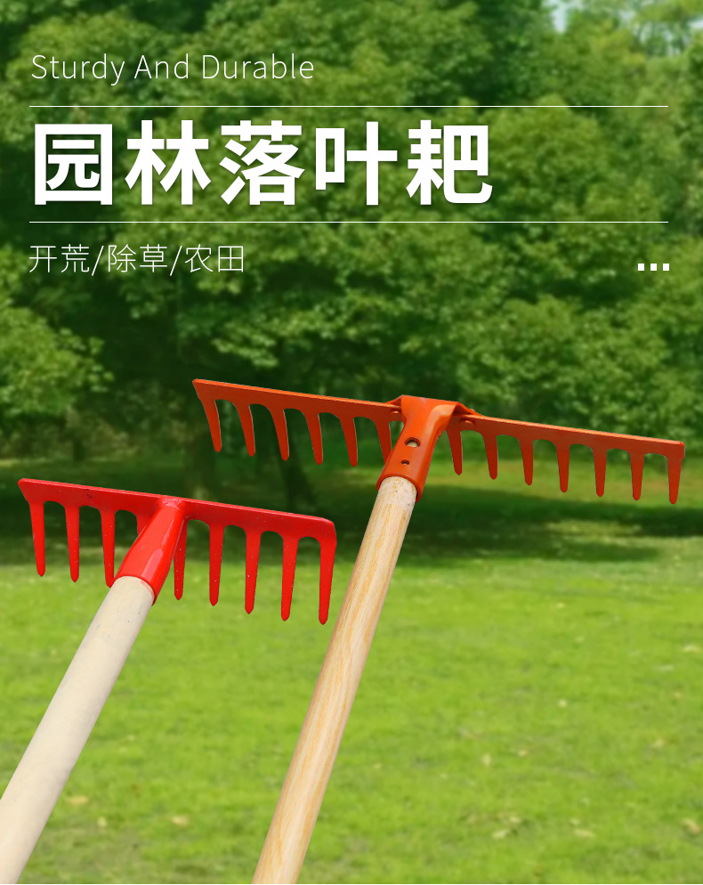详情_01.jpg