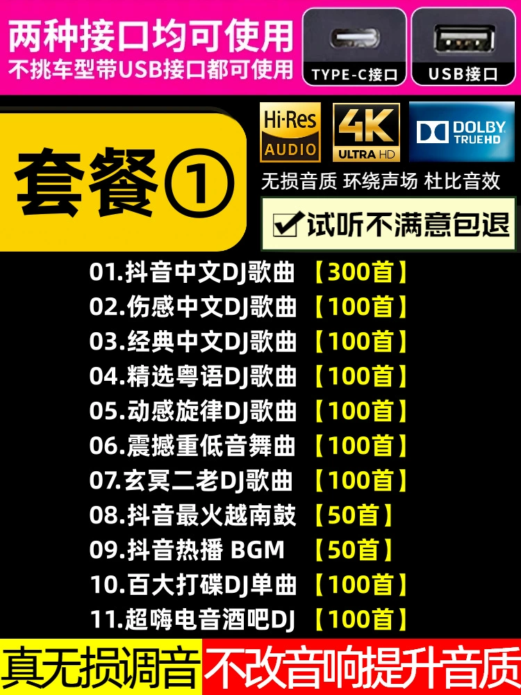 Car U disk songs 2025 new Douyin hot DJ Chinese lossless MP3 classic music U disk others