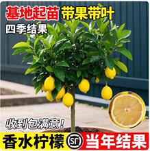 ������ˮ���ʘ��������҃�����Y���o���ļ�������ʳ�Ù��ʘ����