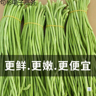 ���x2025�L�������r���������ݲ��ᶹ�Ǯ����߲˟o���r�ҬFժ���l