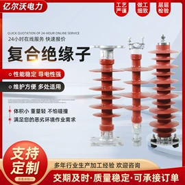 绝缘子;防雷器;连接金具