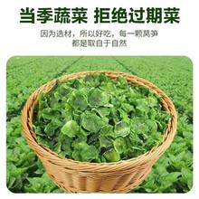 莴笋干农家自制莴苣干片干货土特产脱水蔬菜干非贡菜苔干500g包邮